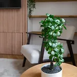 Jaures - Design Et Climatises En Centre Apartment *
