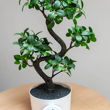 Jaures - Design Et Climatises En Centre Apartament Vichy