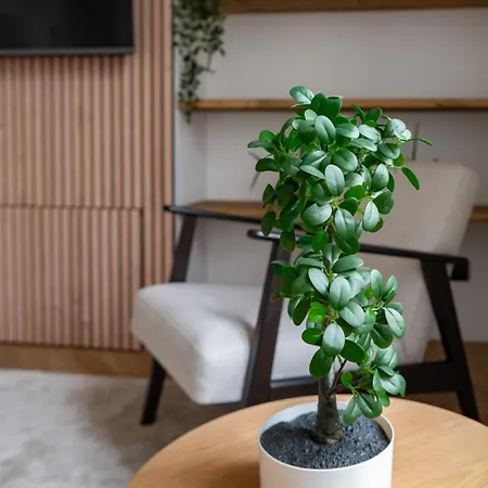 Jaures - Design Et Climatises En Centre Apartment *