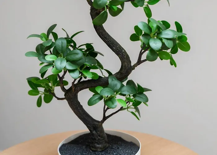 Jaures - Design Et Climatises En Centre Апартаменты Виши