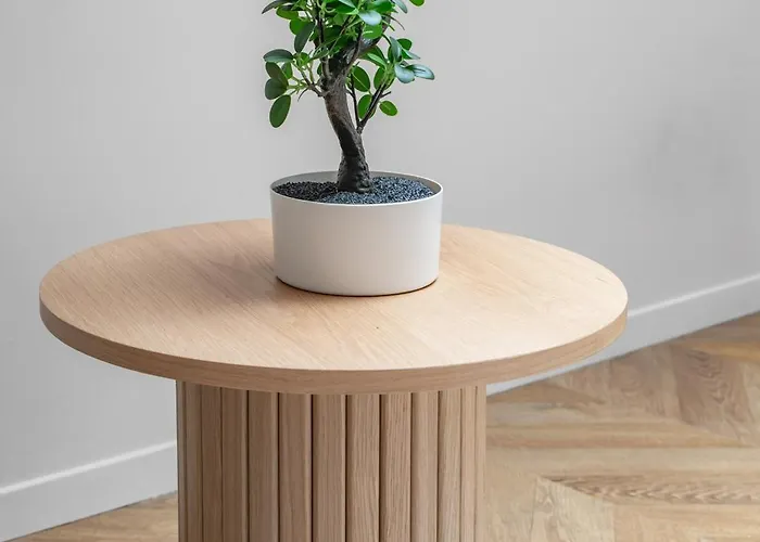 Апартаменты Jaures - Design Et Climatises En Centre Виши