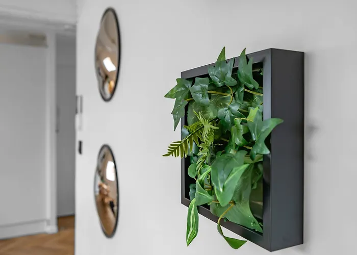 Апартаменты Jaures - Design Et Climatises En Centre Виши